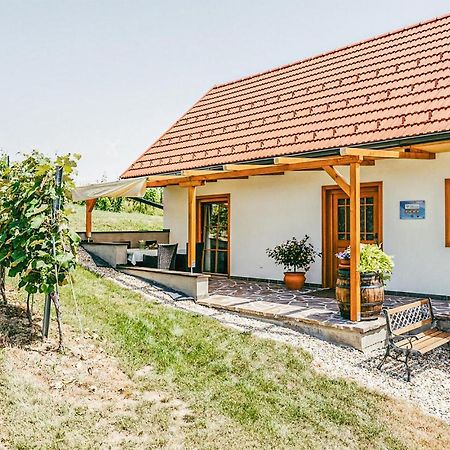 Ferienhaus Gaas Weinberg 外观 照片